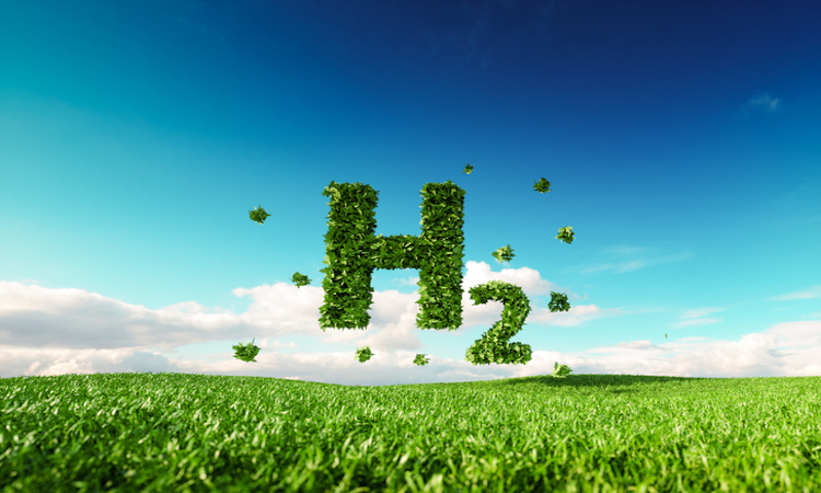 El motivo por el que la producción de hidrógeno verde en parques eólicos marinos europeos tiene sentido