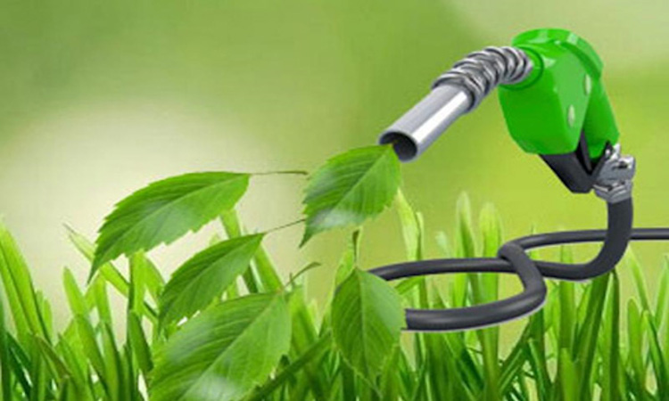 Ecocombustibles, una realidad