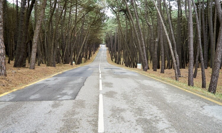 1.629 millones de euros para mejorar el estado de las carreteras